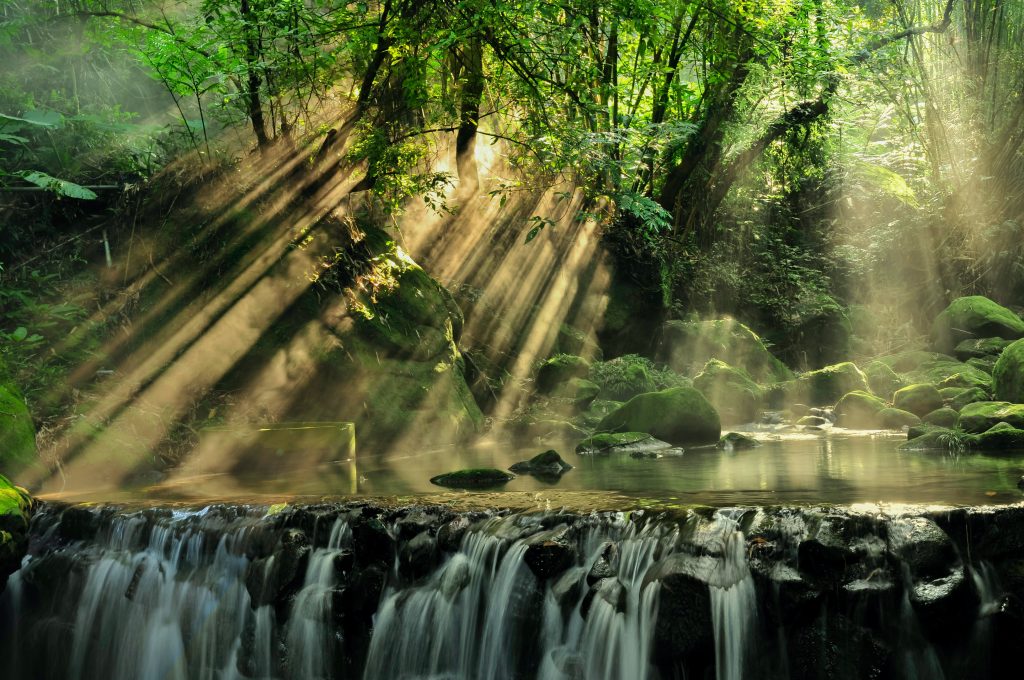 'Save the Earth' Competition Winner
