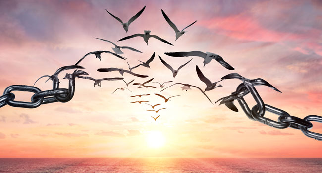 A heavy chain breaking apart, the links turning into birds which fly towards a vibrant sunset.