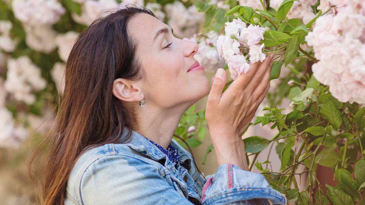 Surrounded by beautiful pink blossoms, a happy middle aged woman holds one between her hands, inhaling deeply.