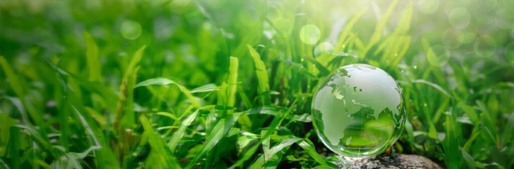 A small glass globe, showing Europe, Africa and Asia, resting gently on lush, long dewy grass